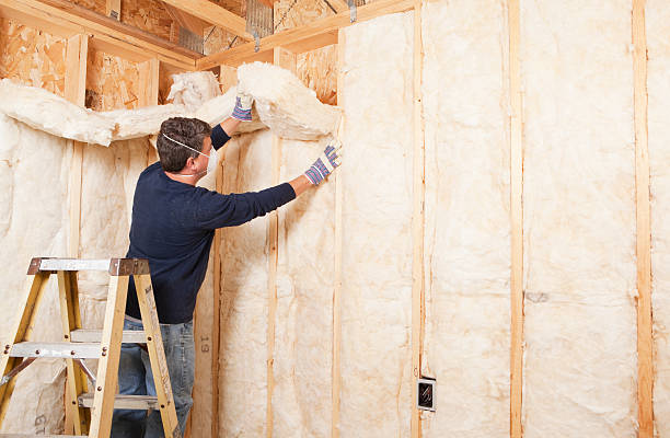 Types of Insulation We Offer in Royse City, TX